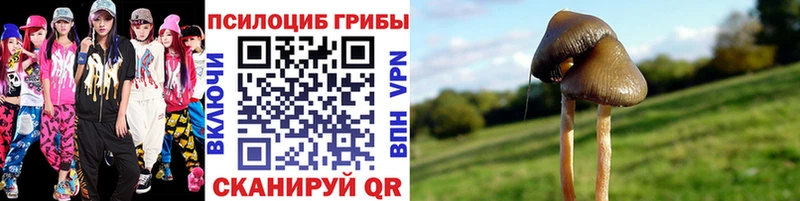 Псилоцибиновые грибы MAGIC MUSHROOMS  mega зеркало  даркнет формула  наркота  Чадан 